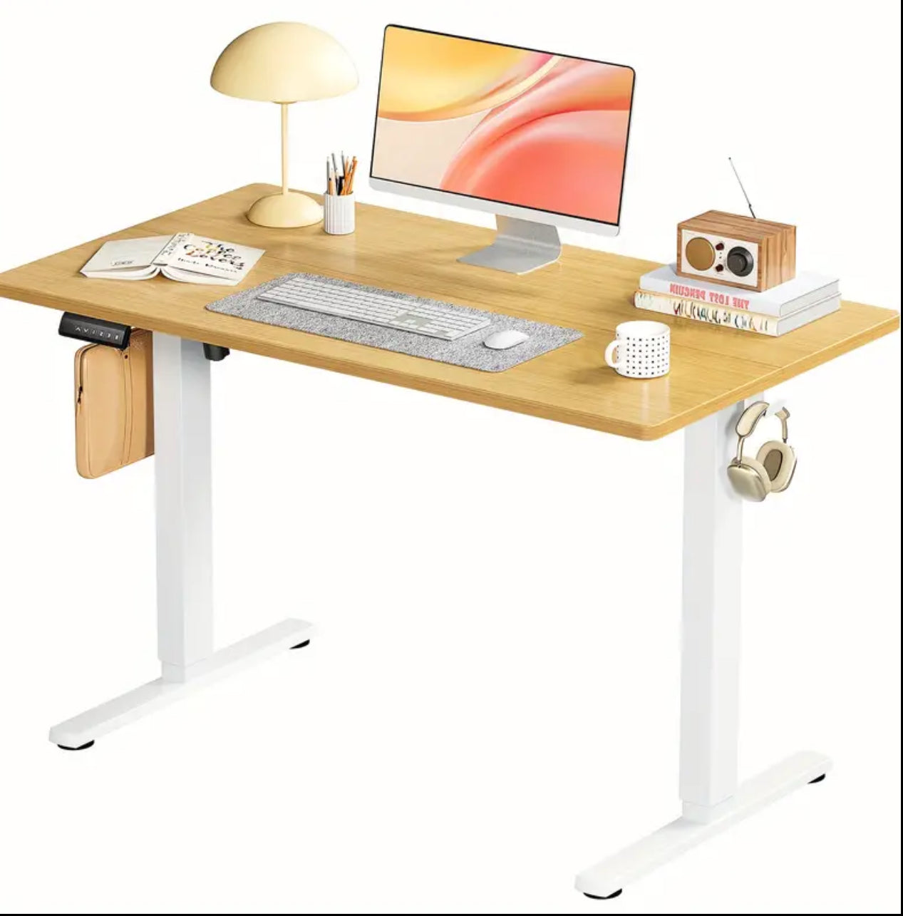 Height Adjustable Electric Standing Desk