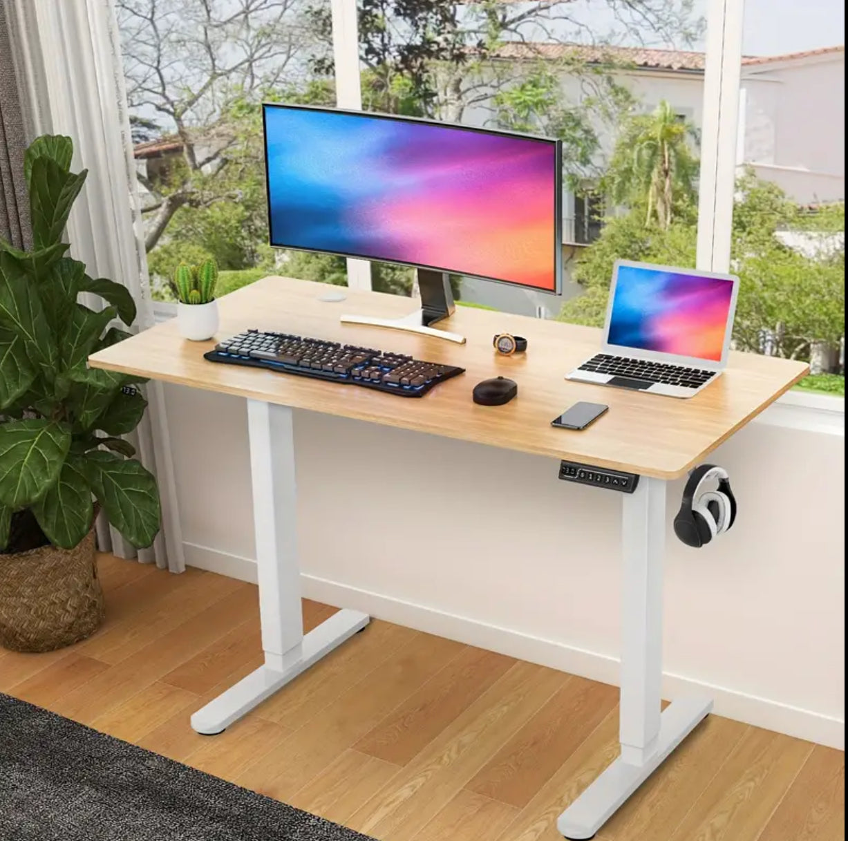 Height Adjustable Electric Standing Desk