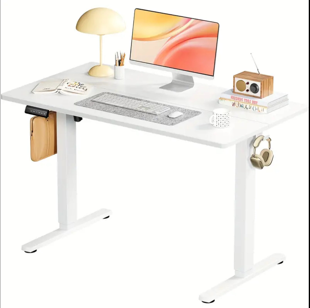 Height Adjustable Electric Standing Desk